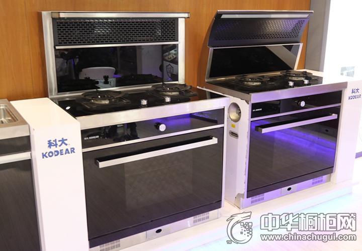 科大集成灶效果图 厨房电器图片